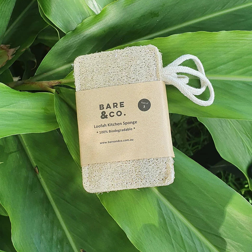 Bare & Co. | 100% Biodegradable Kitchen Loofah Sponges - 3 pack