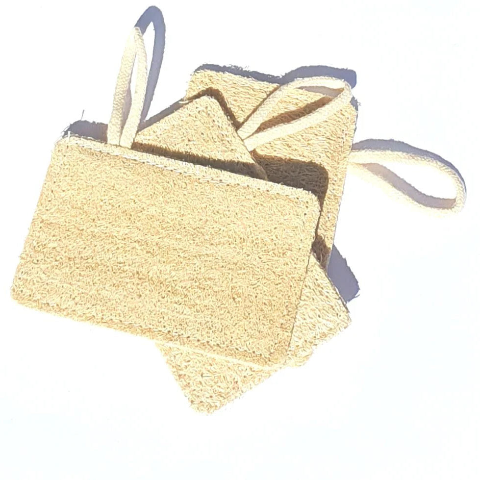 Bare & Co. | 100% Biodegradable Kitchen Loofah Sponges - 3 pack