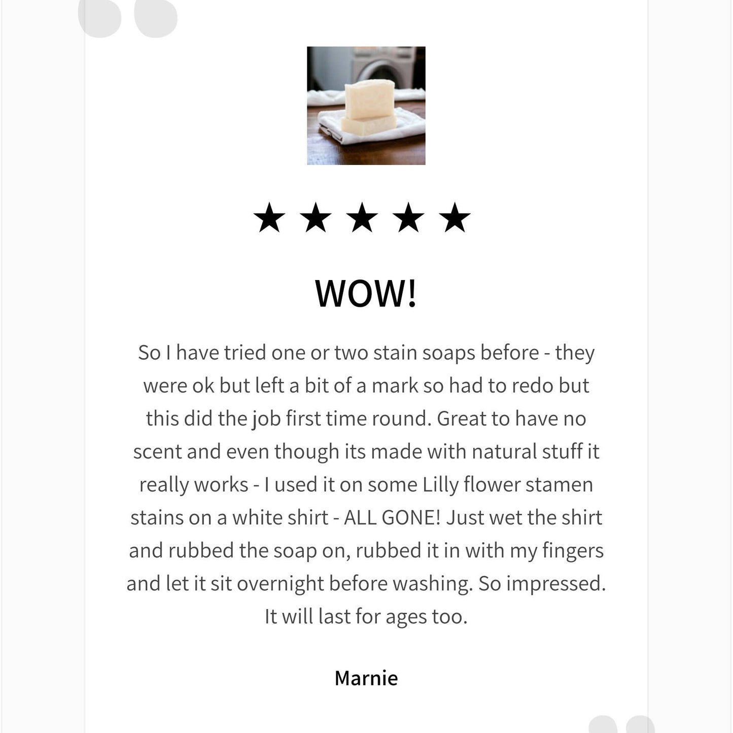 Lil'Bit Better | Unscented Stain Remover Laundry Soap