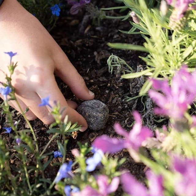 Lil'Bit Better | Bee & Beneficial Insect Seed Balls - 3 or 6 Pack - Organic