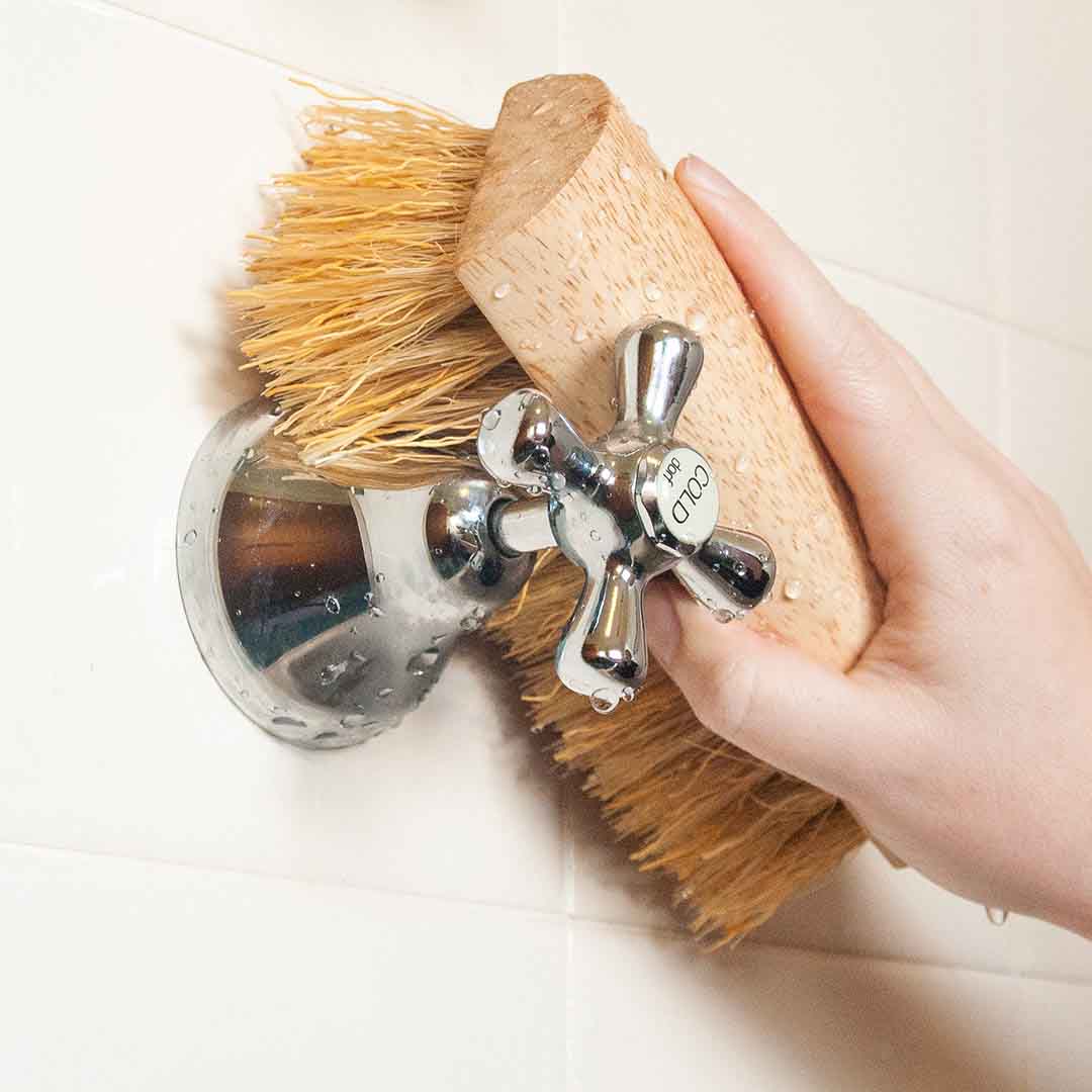 ECOMAX | Scrubbing Brush