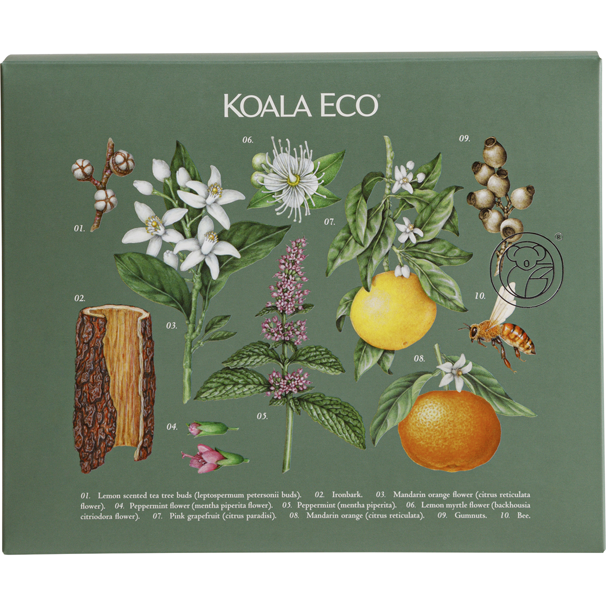 Koala Eco | Kitchen Gift Pack 3 pack