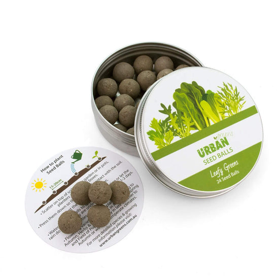 UrbanGreens Seeds balls tin of 24 Seeds balls - leafy Greens