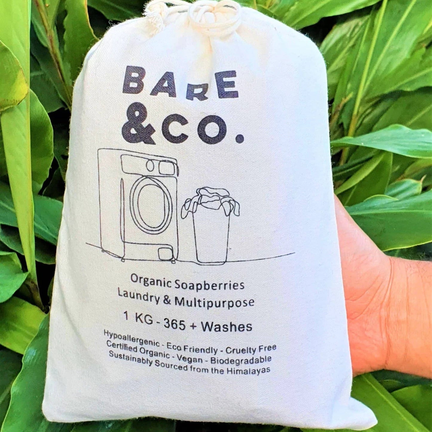 Bare & Co. | Organic Soapberries