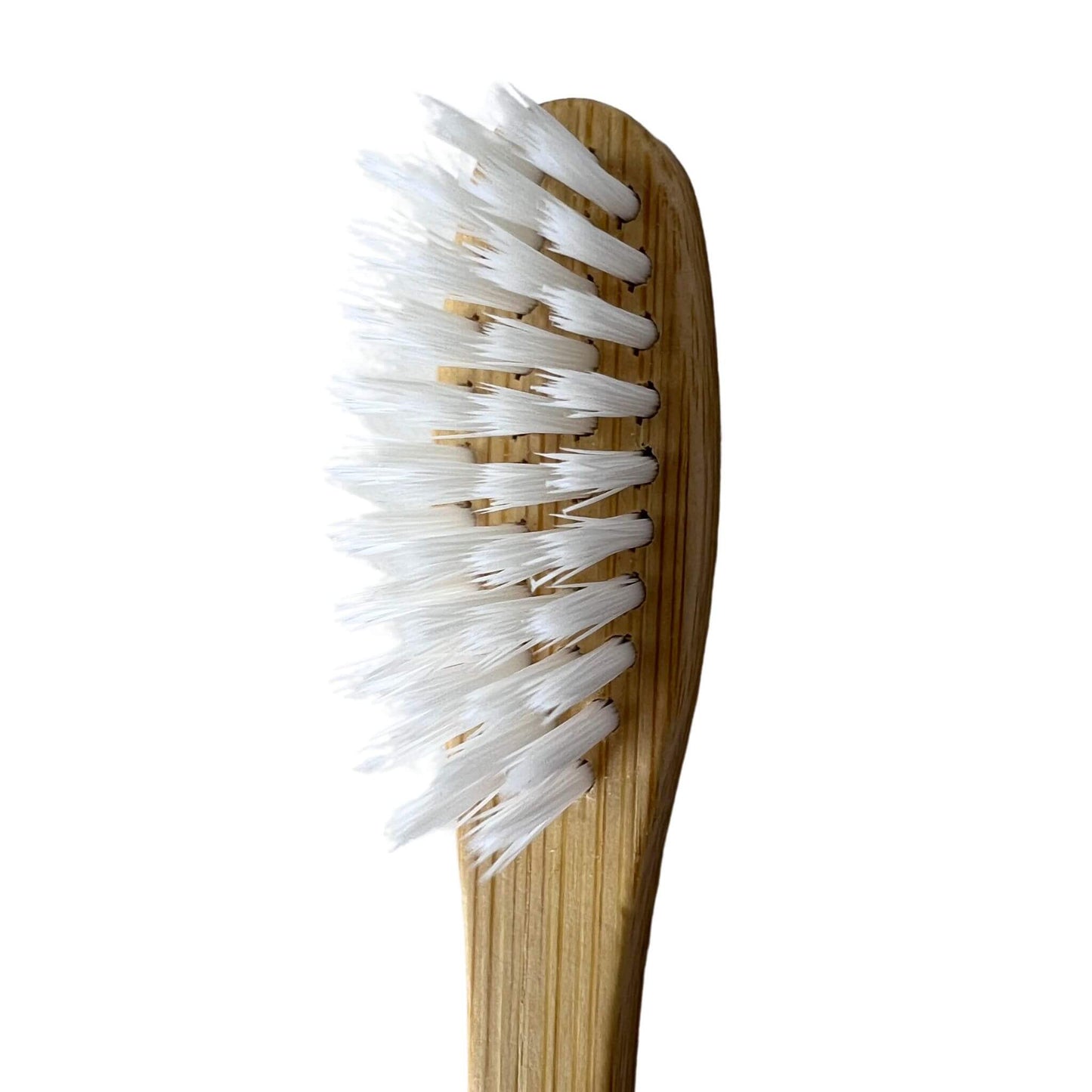 go bamboo natural toothbrush bristles