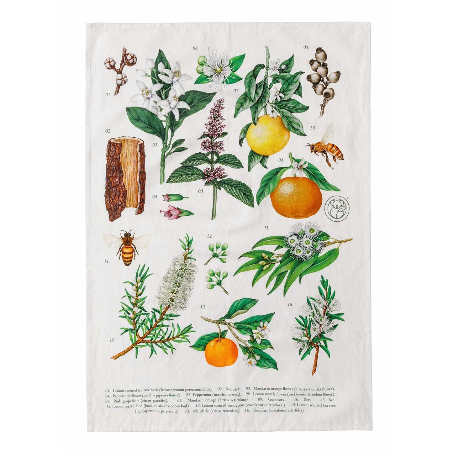 Koala Eco | Botanical Tea Towel