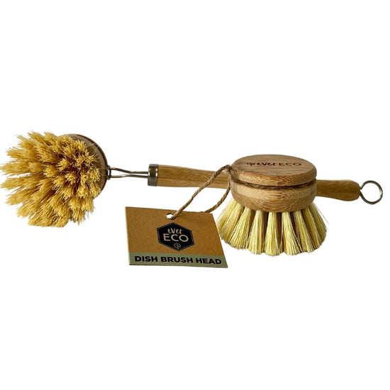 Ever Eco Dish Brush Replacement Head with sisal bristles beside ever eco dish brush handle